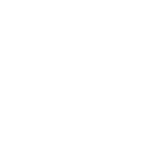 Consultoría SEO Avanzada